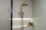 Round Combination Shower Rail, 200mm Rose, Single Function Hand Shower - PVD Tiger Bronze - MZ0704-R-PVDBB