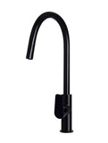 Round Paddle Piccola Pull Out Kitchen Mixer Tap - Matte Black - MK17PD